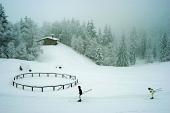 12 immagini di ricordi del 2010 che sta per finire... - FOTOGALLERY